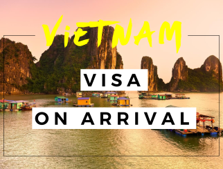 (中文) 越南簽證2022: 電子E-VISA簽證、落地簽證