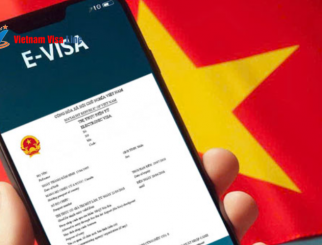 Vietnam E-Visa Cost: Official Fee and Optional Service Fee