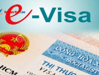 Vietnam E-Visa Application: Step-by-Step Instructions