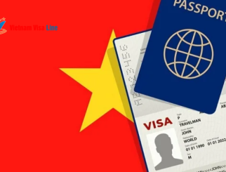 越南电子签证照片要求及上传技巧详解