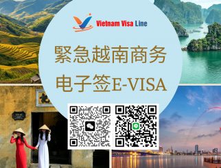 Vietnam Urgent E-Visa Service 2026 (Tourist Visa)