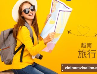 Vietnam E-Visa Emergency Service 2026